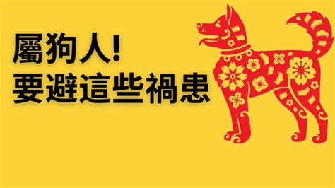 1982屬狗2023運勢顏色|属狗2023年运势及运程1982年出生幸运色 属狗2023年运势及运。